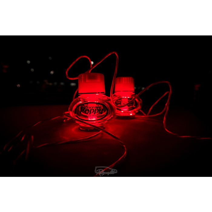 Poppy-package with running USB light
